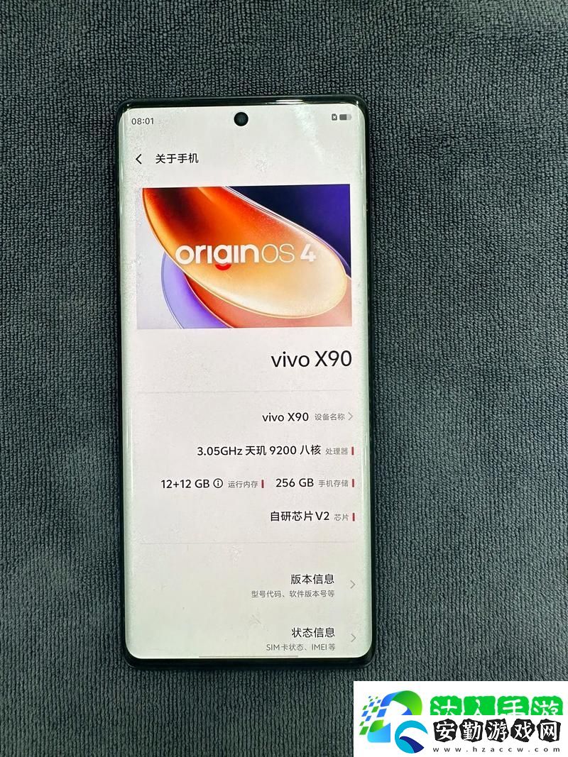 國產(chǎn)X9X9X9X9X9X任意槽