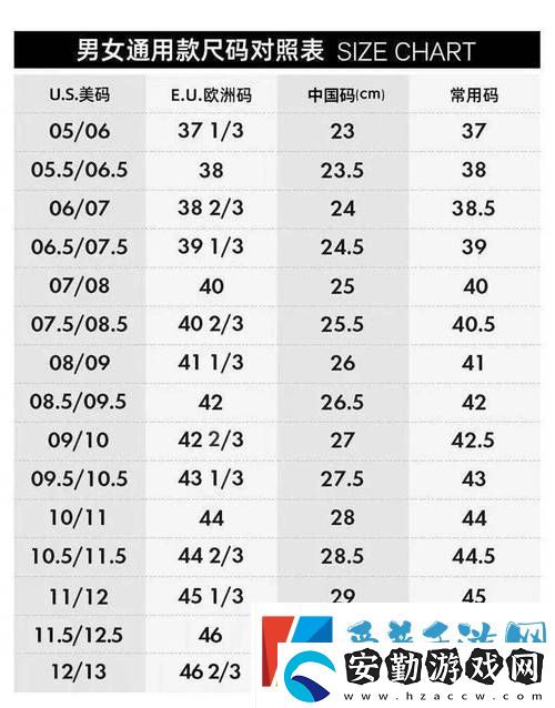 歐亞尺碼專線免費2024