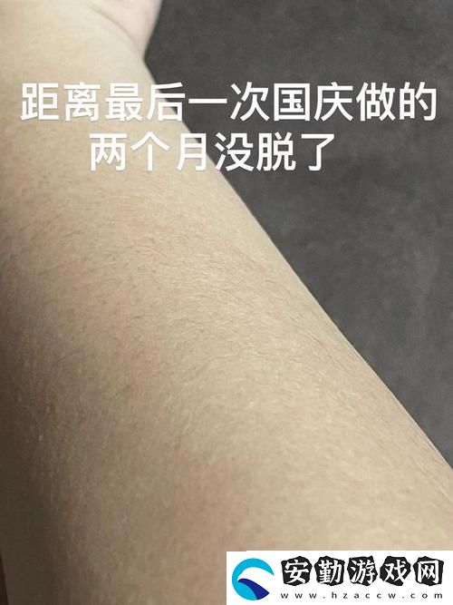 深入解析AAAA級毛與AAAA的區(qū)別