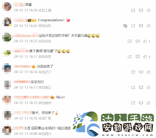玩家安慰黑神話