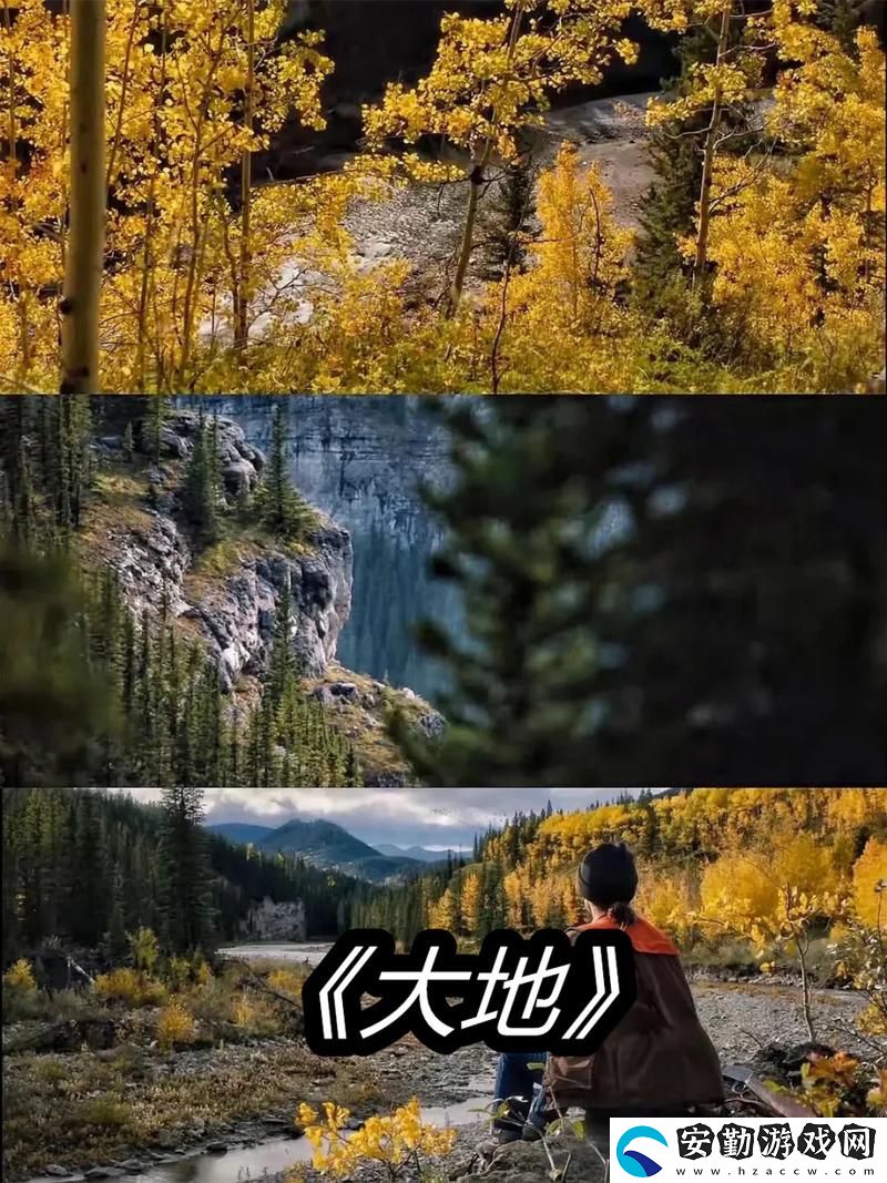 探索“大地資源視頻在線觀看免費(fèi)高清”的無(wú)限可能