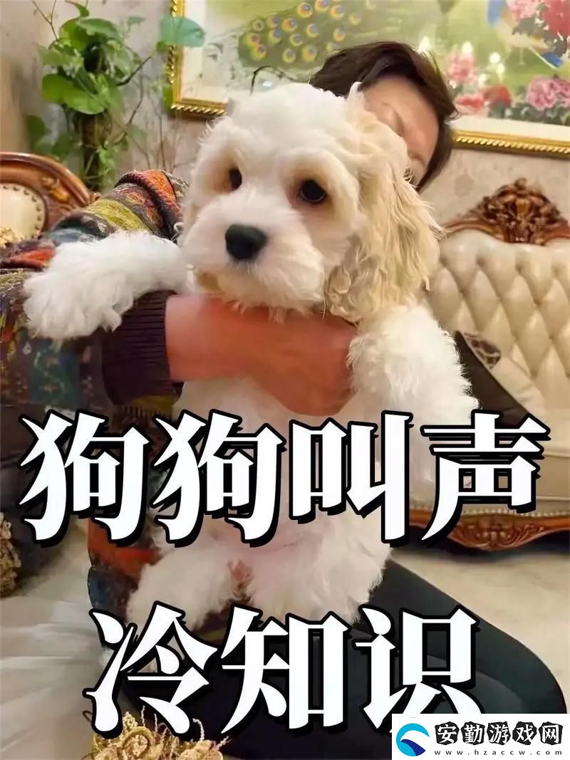 抖S狗狗要乖乖聽主人的話