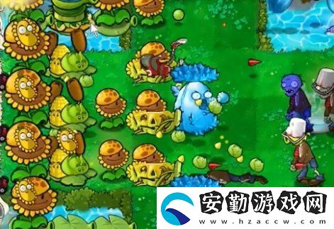 植物大戰(zhàn)僵尸雜交版冒險(xiǎn)54關(guān)怎么放置植物