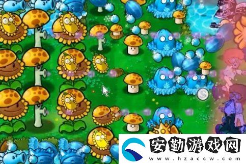 植物大戰(zhàn)僵尸雜交版冒險55關(guān)怎么不用小車過關(guān)