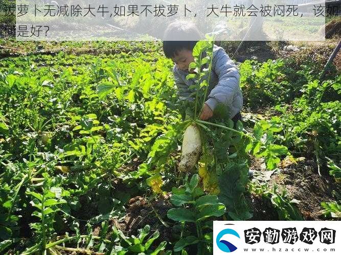 拔蘿卜無(wú)減除大牛