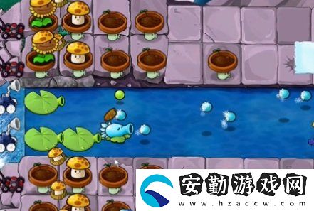 植物大戰(zhàn)僵尸雜交版冒險(xiǎn)34關(guān)怎么放置植物