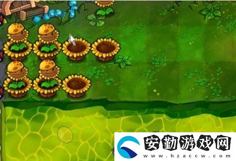 植物大戰(zhàn)僵尸雜交版冒險(xiǎn)64關(guān)怎么放置植物