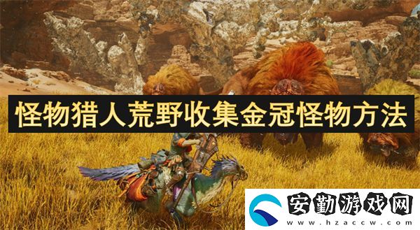 怪物獵人荒野收集金冠怪物方法