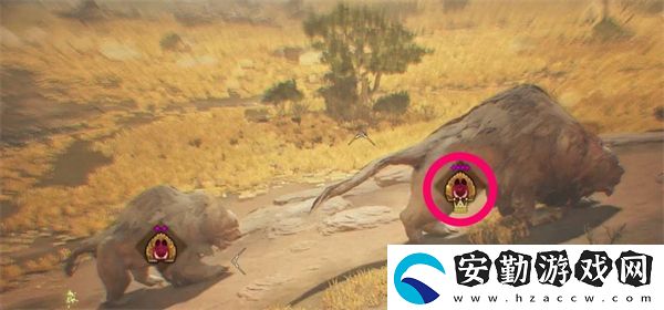 怪物獵人荒野收集金冠怪物方法