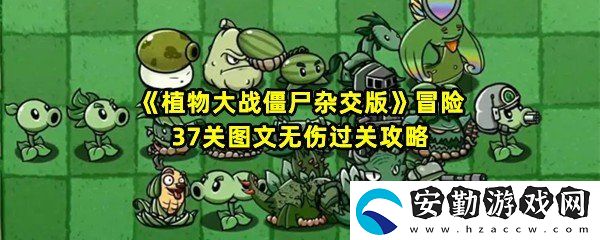 植物大戰(zhàn)僵尸雜交版冒險37關(guān)怎么清理墓碑