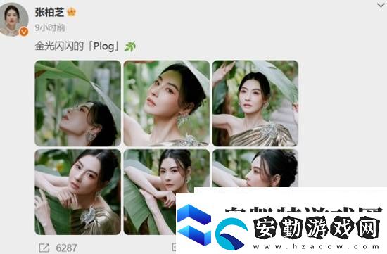 張柏芝最新**