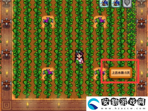星露谷物語上古種子種植需注意什么