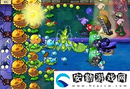 植物大戰(zhàn)僵尸雜交版第20關(guān)怎么打