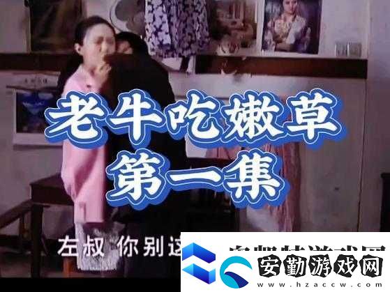 牛牛電影國(guó)產(chǎn)一區(qū)二區(qū)究竟有何獨(dú)特之處