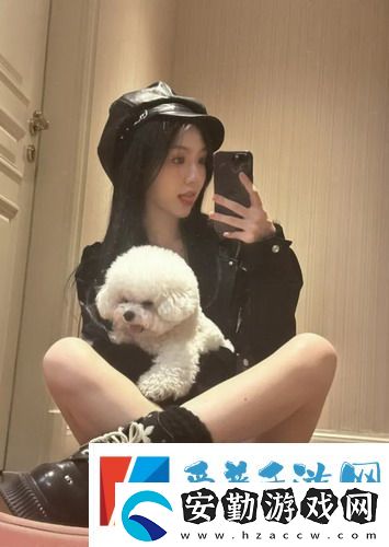 中文字幕免費高清電視劇網(wǎng)站
