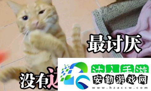 討厭沒有邊界感的人是什么梗網絡用語