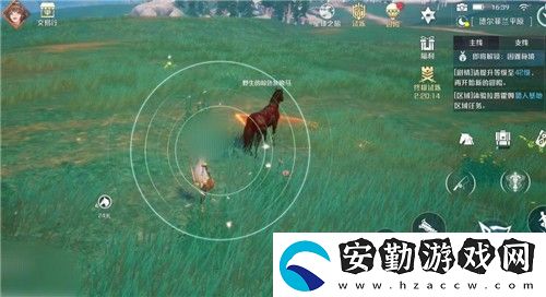 諾亞之心怎么抓野馬