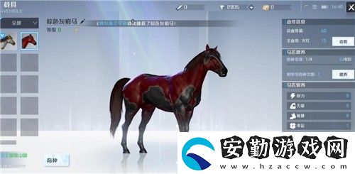 諾亞之心怎么抓野馬