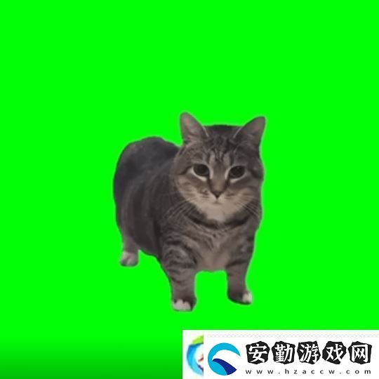 貓貓的奇幻漂流導(dǎo)演應(yīng)中國(guó)粉絲要求