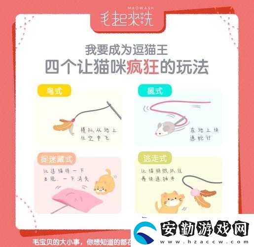 靈貓傳逗貓棒使用秘籍大揭秘