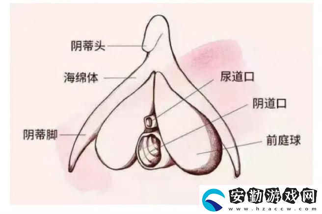 大蔭蒂BBBBBB大蔭蒂