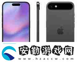 蘋(píng)果十七的圖片