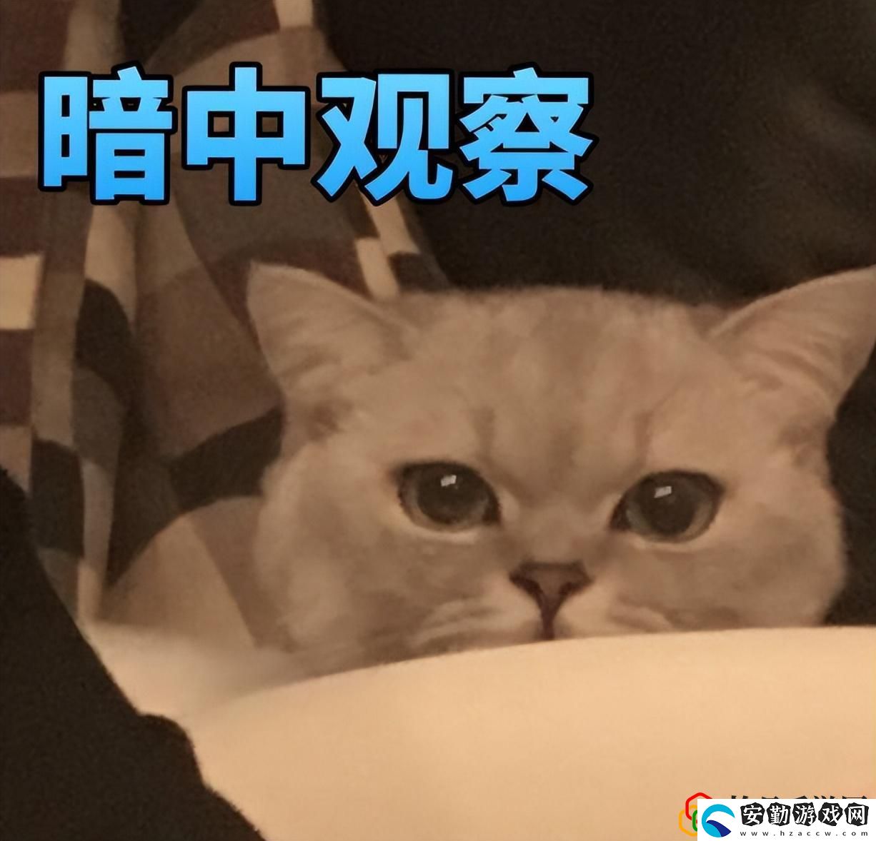 反恐精英武器裝備資料匯總