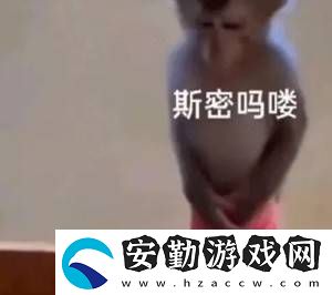聯(lián)宇物流義烏盛大開業(yè)