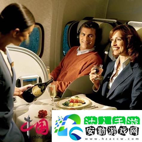 解析頭等艙客服的特殊待遇2中字中的獨(dú)特服務(wù)體驗(yàn)