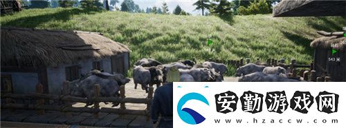 把家變成動物園