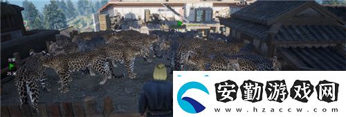 把家變成動物園