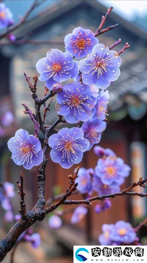 探秘“金花瓶楷梅花2”的藝術(shù)魅力與歷史背景