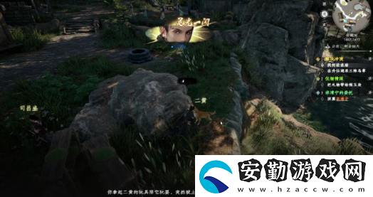 下一站江湖2愛吃魚的狗任務(wù)怎么快速過關(guān)