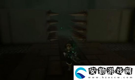 塞爾達(dá)傳說(shuō)王國(guó)之淚奇卡克恩神廟通關(guān)攻略