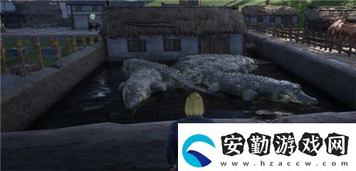 把家變成動物園
