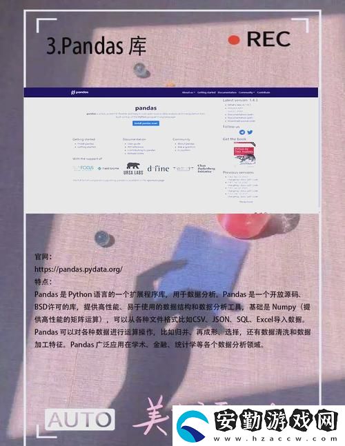 探索“Python人馬獸語(yǔ)錄大全”的智慧與幽默