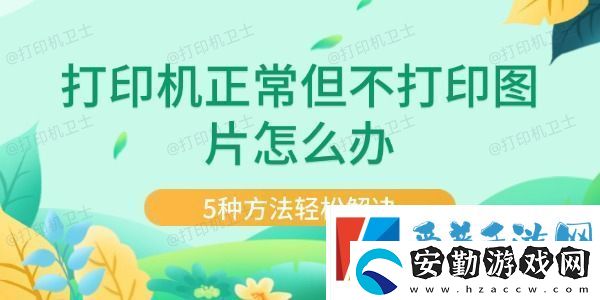 打印機正常但不打印圖片怎么辦