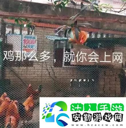 這幅畫(huà)名字叫我在食堂找不到位置表情包