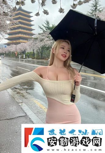 歐美成熟iPhone性能測(cè)評(píng)