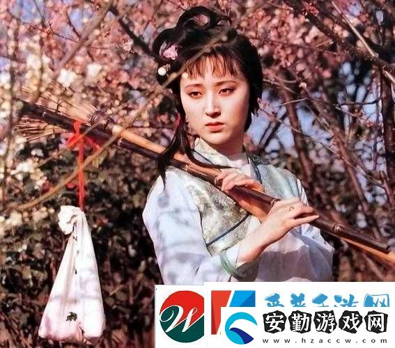 黛玉葬花通關絕了！手殘黨必看的神仙技巧大公開