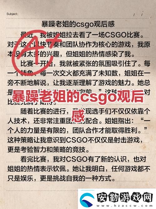 暴躁老姐的CSGO心得分享視頻流暢不卡頓網友