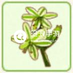 小森生活止風草位置介紹