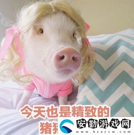 精致意思含義出處介紹