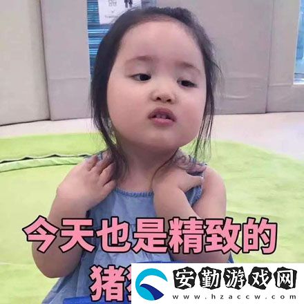 精致意思含義出處介紹