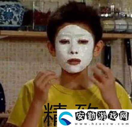 精致意思含義出處介紹
