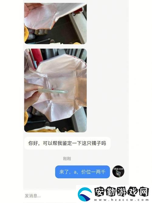 鑒定師免費(fèi)看片視頻軟件