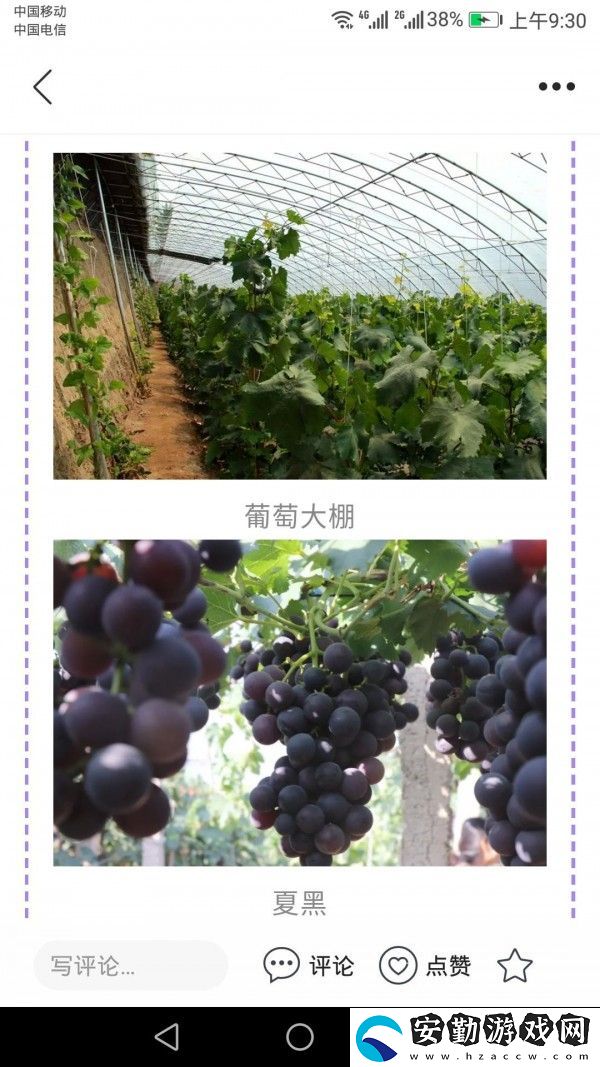 冀云懷來(lái)app下載安裝